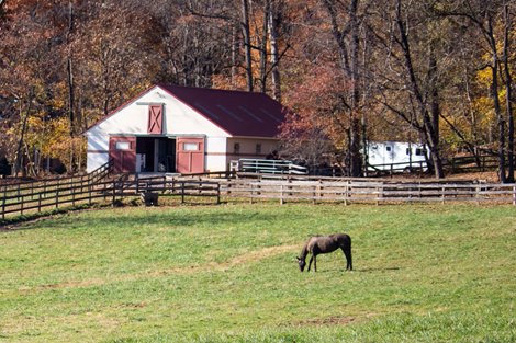Three Pines Farm in Worthington Valley, Maryland, owned by Dr. Arthur Leonard "Lenny" Pineau and his wife Pat Pineau