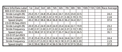 An example report that trainers would receive from StrideSAFE after a race