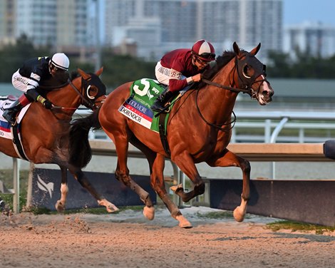 Dornoch wins the 2024 Fountain of Youth Stakes at Gulfstream Park