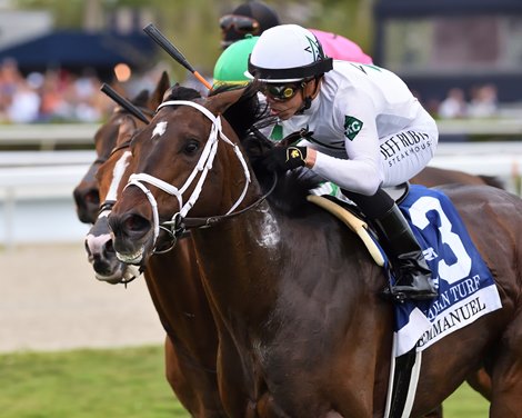Emmanuel wins the 2024 Canadian Turf Stakes at Gulfstream Park