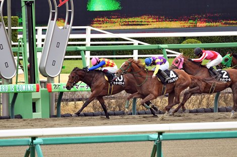 T O Password wins the 2024 Fukuryu Stakes at Nakayama Racecourse ridden by jockey Katsuma Samejima, trained by Daisuke Takayanagi, and owned by Kimiya Kozasa