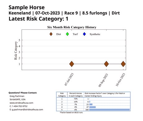 An example report that trainers would receive from StrideSAFE after a race