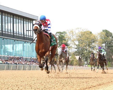 Asternia wins the Purple Martin Stakes on Saturday, March 16, 2024 at Oaklawn Park Asternia wins the Purple Martin Stakes on Saturday, March 16, 2024 at Oaklawn Park