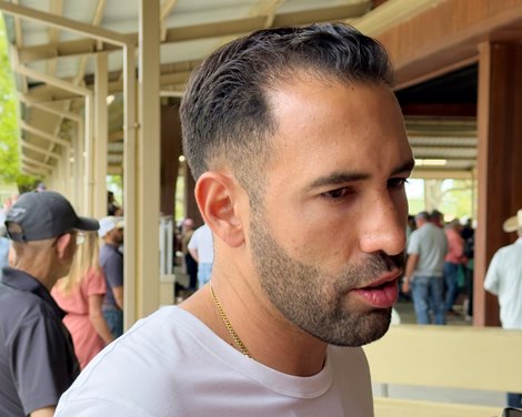 Hip 533,  Jose D’Angelo, 2024 OBS March 2 year old Sale