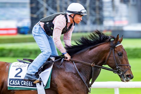 Casa Creed, Meydan, March 25 2024