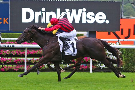 Tropical Squall wins the 2024 Surround Stakes at Royal Randwick Racecourse<br>
ridden by Adam Hyeronimus and trained by Gai Waterhouse and Adrian Bott