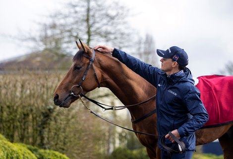 Aidan O’Brien with City Of Troy.<br>
Ballydoyle.<br>
Photo: Patrick McCann/Racing Post<br>
20.03.2024