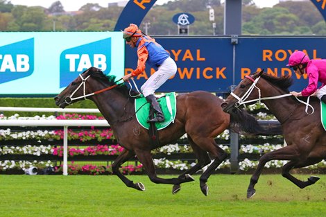 Think It Over wins the 2024 Verry Elleegant Stakes at Royal Randwick Racecourse<br>
ridden by Nash Rawiller and Trained by Kerry Parker