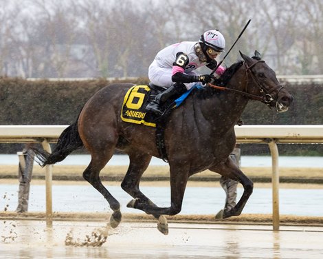 Jody's Pride wins the 2024 Busher Stakes at Aqueduct