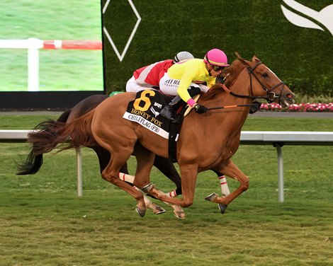 Chili Flag wins the 2024 Honey Fox Stakes at Gulfstream Park
