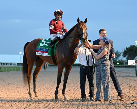 Dornoch wins the 2024 Fountain of Youth Stakes at Gulfstream Park
