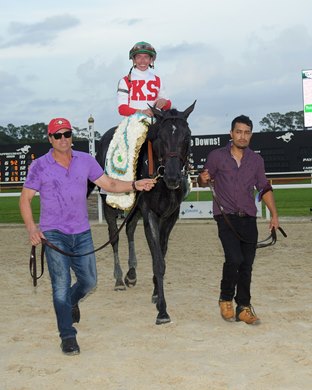 Domestic Product wins the Tampa Bay Derby on Saturday, March 9, 2024 at Tampa Bay Downs