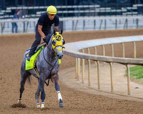 West Saratoga<br>
Morning training at Churchill Downs on April 27, 2024. .