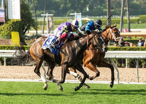 C R K Stable’s Medoro (jockey Antonio Fresu aboard), outside, remains undefeated after nosing out Shiloh’s Mistress (Umberto Rispoli up, inside) to score her fourth-straight win which came in the Grade III $100,000  Providencia Stakes  Saturday, April 20, 2024 at Santa Anita Park, Arcadia, CA.  The 3-year-old daughter of Honor Code is trained by Peter Eurton.<br>
Benoit Photo
