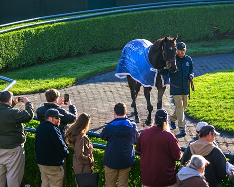 Goodnight Olive parading at Keeneland in Lexington, KY  on April 6, 2024