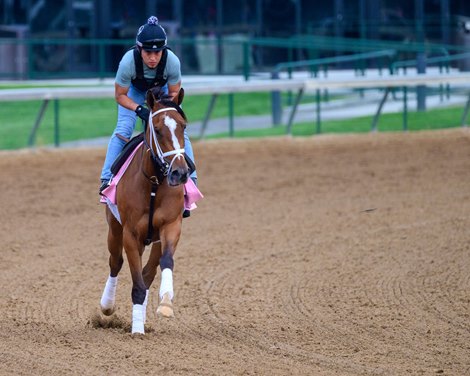 Leslie&#39;s Rose<br><br />
Morning training at Churchill Downs on April 27, 2024. .