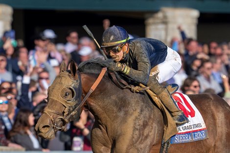 Sierra Leone and Tyler Gaffalione win the G1 Toyota Bluegrass Stakes, Keeneland Racetrack, Lexington, KY 4-6-24