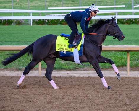 Domestic Product. Morning training at Churchill Downs on April 23, 2024. .