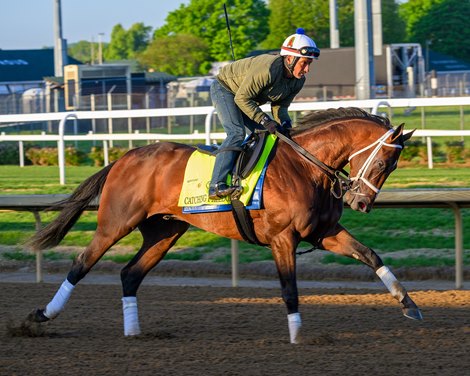 Catching Freedom Morning training at Churchill Downs on April 23, 2024. .
