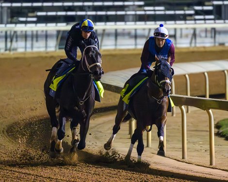 (L-R): Encino and Catching Freedom working<br>
Morning training at Churchill Downs on April 27, 2024. .