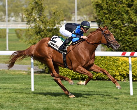 Sweet Rebecca wins the Memories of Silver Stakes on Sunday, April 28, 2024 at Aqueduct