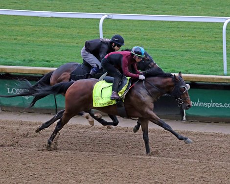 T O Password on the track working 4 furlongs in 46.80 at Churchill Downs on April 30, 2024. Photo By: Chad B. Harmon