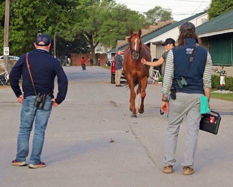 Society Man jogging for the chief veternarian for the Kentucky Horse Racing Commission Nick Smith and Trainer Danny Gargan at Churchill Downs on April 28, 2024. Photo By: Chad B. Harmon