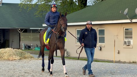 Whit Beckman leads 2024 Kentucky Derby contender Honor Marie to the track at Churchill Downs