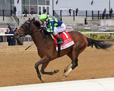 Resilience wins the 2024 Wood Memorial Stakes at Aqueduct