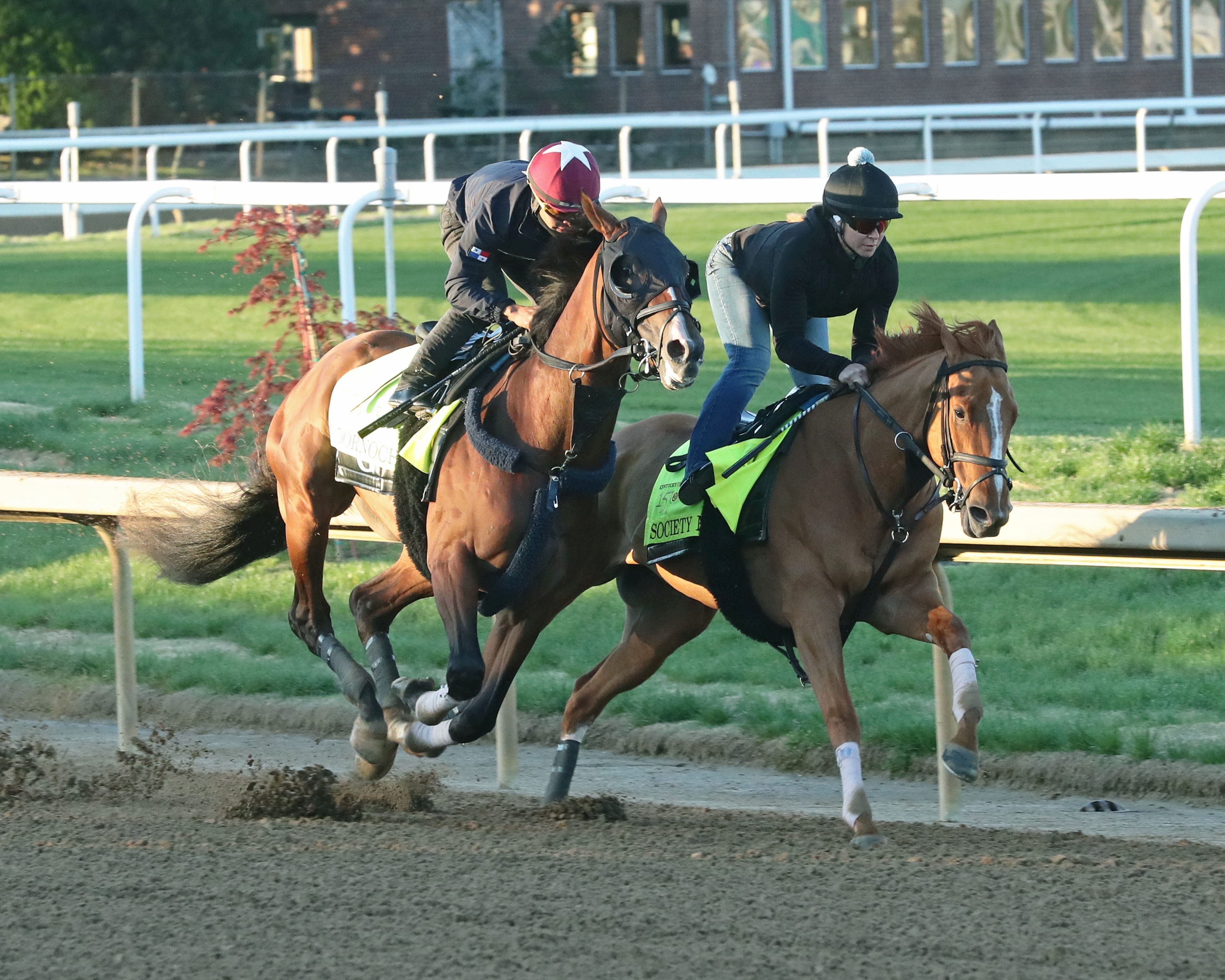 Stronghold's First Day Leads Routine Derby Training - BloodHorse