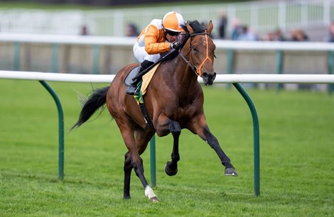 Jayarebe (Sean Levey) wins the Feilden Stakes<br>
Newmarket 17.4.24 Pic: Edward Whitaker