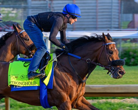 Stronghold<br>
Morning training at Churchill Downs on April 28, 2024. .