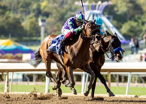 Stronghold and jockey Antonio Fresu, outside, overpower Imagination (Lanfranco Dettori), inside, to win the Grade I, $750,000 Santa Anita Derby, Saturday, April 6, 2024 at Santa Anita Park, Arcadia CA.<br>
© BENOIT PHOTO