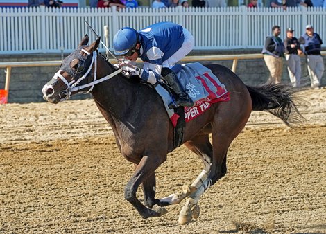 Copper Tax wins the 2024 Federico Tesio Stakes at Laurel Park