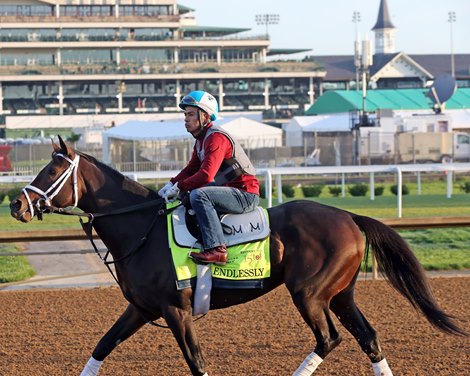 Endlessly on the track at Churchill Downs on May 2, 2024. Photo By: Chad B. Harmon Endlessly on the track at Churchill Downs on May 2, 2024. Photo By: Chad B. Harmon