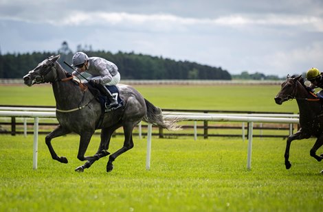 Fallen Angel ridden by Danny Tudhope winning the Irish 1,000 Guineas.  The Curragh. Photo: Patrick McCann/Racing Post<br>
26.05.2024