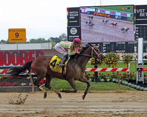 Apple Picker with Sheldon Russell win the 31st Running of the Skipat Stakes (Listed) at Pimlico on May 18, 2024. Photo By: Chad B. Harmon