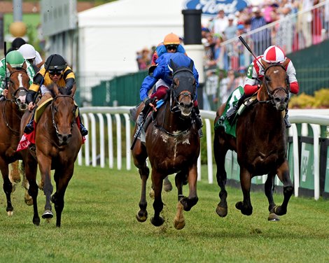 Program Trading with Flavien Prat wins the Old Forester Bourbon Turf Classic Stakes (G1T) at Churchill Downs in Louisville, Ky on May 4, 2024. #11 Naval Power, outside, lost by a nose.<br>
Photo by Rick Samuels