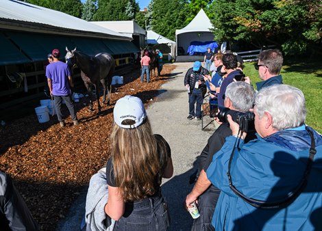 Members of the My Racehorse syndicate watch Seize the Grey being bathed on a  beautiful morning at Old Hilltop allowed for some beautiful images of Preakness and Black Eyed Susan entrants and their connections Thursday May 16, 2024 at Pimlico Race Course in Baltimore, MD.    Photo by Skip Dickstein