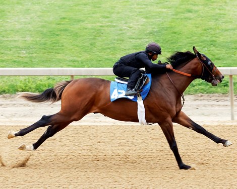 Hip 429, 2024 Fasig-Tipton Midlantic 2 Y-O-in Training Sale