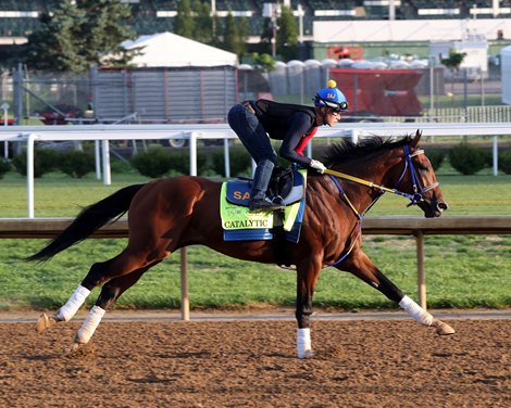 Catalytic on the track at Churchill Downs on May 1, 2024. Photo By: Chad B. Harmon