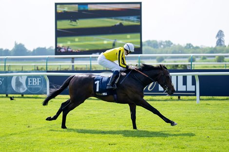 Ambiente Friendly (Callum Shepherd) wins the Derby Trial<br>
Lingfield 11.5.24 Pic: Edward Whitaker