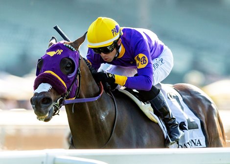 Mucho Del Oro and jockey Kyle Frey win the $100,000 Grade III, Daytona Stakes, Sunday, May 26, 2024 at Santa Anita Park, Arcadia CA.<br>
© BENOIT PHOTO