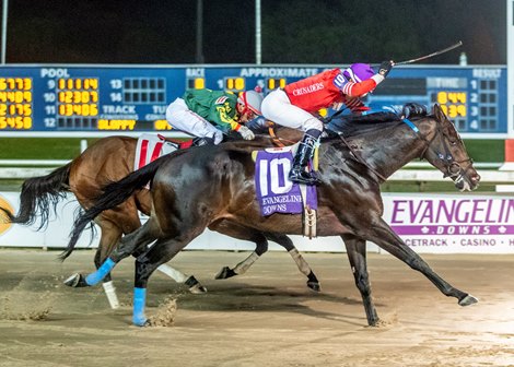 Juan Vargas crosses the finish line aboard Not On Herb, winning the King Creole Stakes at Evangeline Downs on May 4, 2024