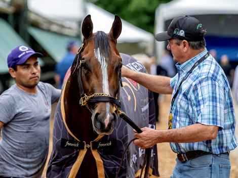 Preakness favorite Mystik Dan gets his Kentucky Derby cooler put on after his bath at the training barn this morning Friday May 17, 2024 at Pimlico Race Course in Baltimore, MD.    Photo by Skip Dickstein