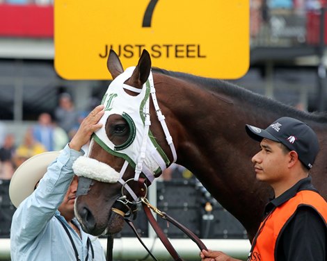 Just Steel gets a pat on the head prior to running in the 149th Preakness Stakes (GI) at Pimlico on May 18, 2024. Photo By: Chad B. Harmon