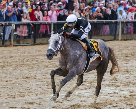 Seize the Grey with Jaime Torres wins the Preakness (G1) at Pimlico in Baltimore, MD., on May 18, 2024