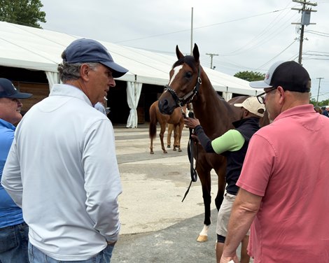 Scenics, 2024 Fasig-Tipton Midlantic 2 Y-O-in Training Sale