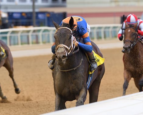 Soul of an Angel wins the 2024 Ruffian Stakes at Aqueduct