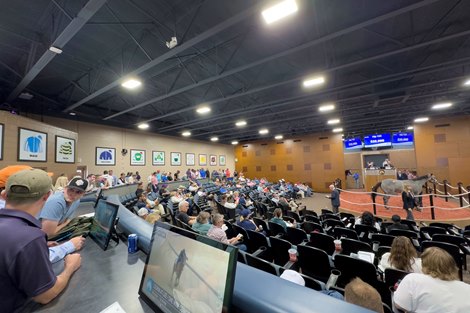 Scenics, 2024 Fasig-Tipton Midlantic 2 Y-O-in Training Sale